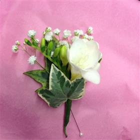 fwthumbpink 8.jpg